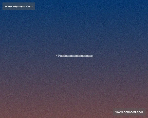 NBA总决赛湖人对热火巅峰对决直播回放全程精彩解析瞬间回顾